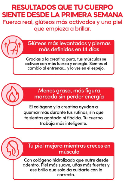 Creatina Monohidratada Para Mujeres